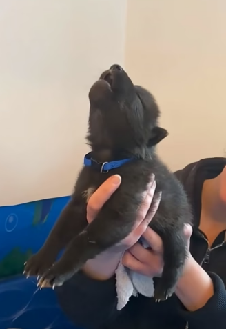 D2004006 They need someone… you could be it. (Part 2)