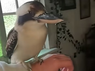 D2004009 They need action… not silence. (Part 2)