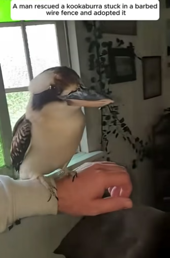 D2004009 They need action… not silence. (Part 2)