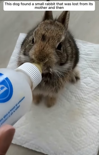 D2004008 They need saving… you see it. (Part 2)