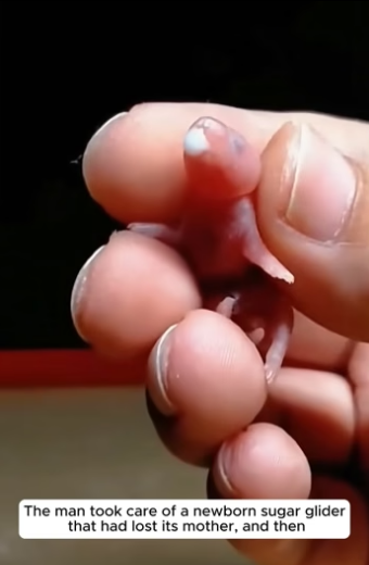 D2004012 They need life… not excuses. (Part 2)