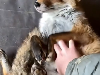 D2004011 They need now… not someday. (Part 2)