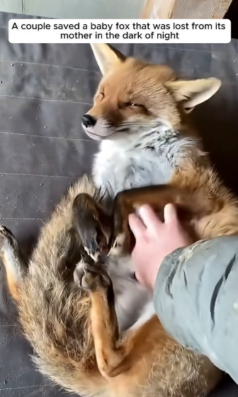 D2004011 They need now… not someday. (Part 2)