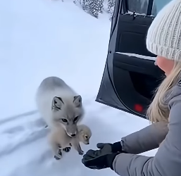 Z2004004 Do something… or do nothing? (Part 2)