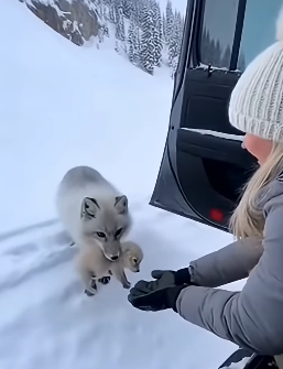 Z2004004 Do something… or do nothing? (Part 2)