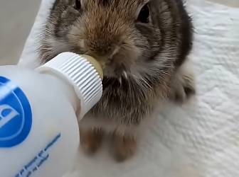 E2004005 Knowing isn’t enough… changing is. (Part 2)