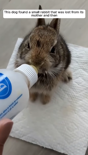 E2004005 Knowing isn’t enough… changing is. (Part 2)