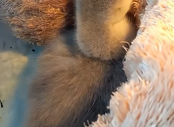 E2004011 You could help — why didn’t you? (Part 2)