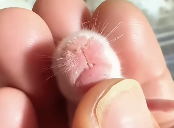 E2004009 Caring isn’t enough… proving is. (Part 2)