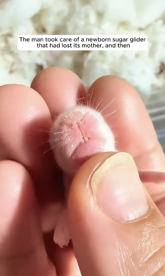 E2004009 Caring isn’t enough… proving is. (Part 2)