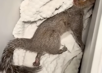 E2004012 You saw it — what stopped you? (Part 2)