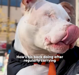 H2004010 What really matters? (Part 2)