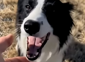 J2004005 If you see it… act. (Part 2)