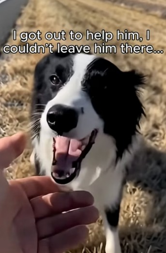 J2004005 If you see it… act. (Part 2)