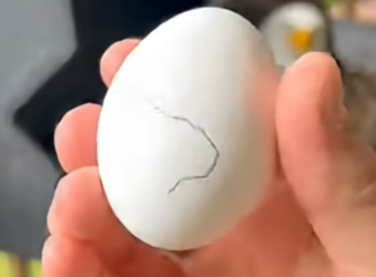 J2004006 If you feel it… do something. (Part 2)