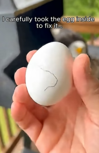 J2004006 If you feel it… do something. (Part 2)