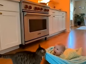 Z2004006 Take a chance… or lose it? (Part 2)