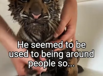 Q2004004 Change one life… or change nothing? (Part 2)