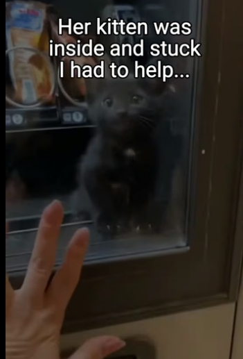 Q2004005 Be kind… or be indifferent? (Part 2)