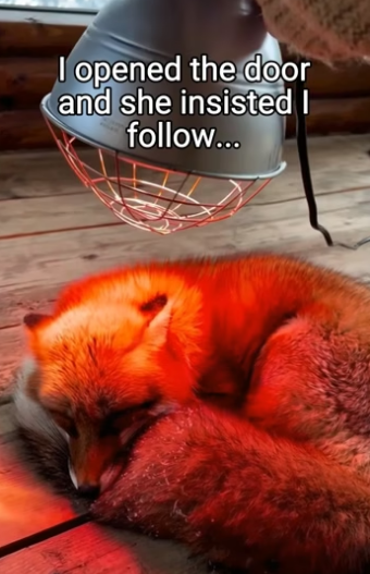 Q2004006 Give meaning… or waste time? (Part 2)