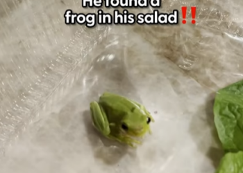 H1204001 Choose kindness when it matters most (Part 2)