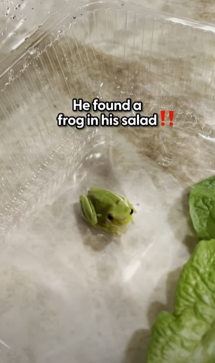 H1204001 Choose kindness when it matters most (Part 2)