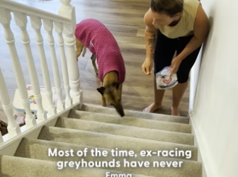 H2004012 What will you do differently? (Part 2)