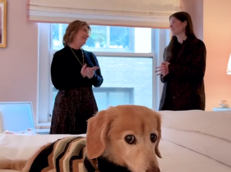 H2204004 Your choice… or their chance? (Part 2)