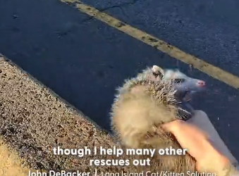 H2204003 Your will… or their waiting? (Part 2)