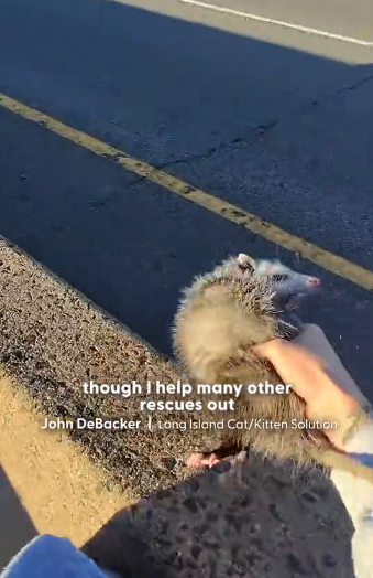 H2204003 Your will… or their waiting? (Part 2)