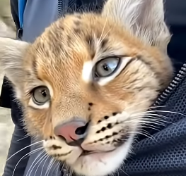 V2004004 Care deeply… or ignore easily? (Part 2)