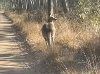 V2004006 Give hope… or let it fade? (Part 2)