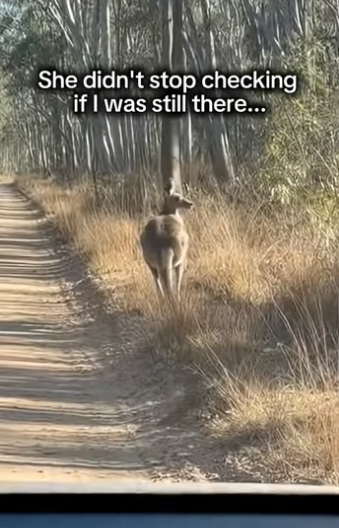 V2004006 Give hope… or let it fade? (Part 2)