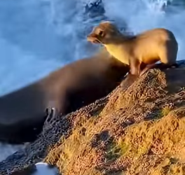 Z2204006 They’re dying… you’re scrolling. (Part 2)