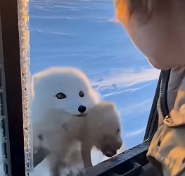 Z2204001 They’re alone… you’re not. (Part 2)