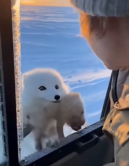 Z2204001 They’re alone… you’re not. (Part 2)