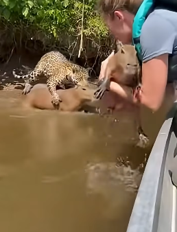 Z2204003 They’re silent… you have a voice. (Part 2)