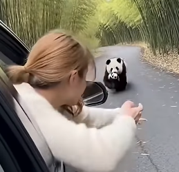 Z2204005 They’re waiting… you’re deciding. (Part 2)