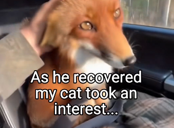 Q2204003 They don’t have options… you have many. (Part 2)