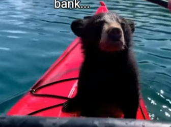 Q2204006 They don’t have safety… you can give it. (Part 2)