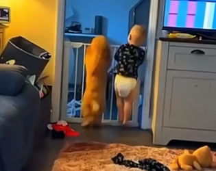 F1804003 Money gone… or life gone? (Part 2)