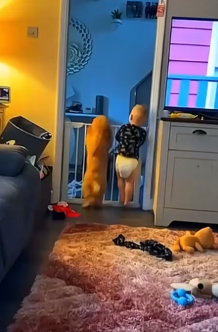 F1804003 Money gone… or life gone? (Part 2)