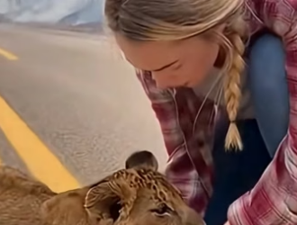 Z2204007 They’re hoping… you’re unsure. (Part 2)