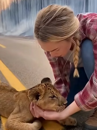 Z2204007 They’re hoping… you’re unsure. (Part 2)