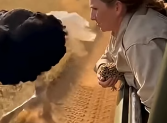 Z2204008 They’re lost… you can find them. (Part 2)