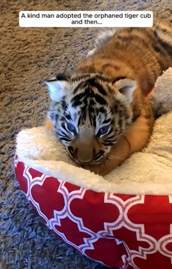 E2204010 Your step… or their survival? (Part 2)