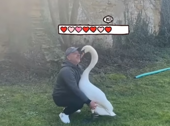 E2204012 Your action… or their miracle? (Part 2)