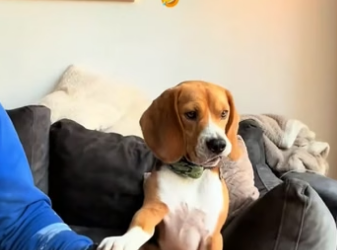 F1804004 Buy more… or save more? (part 2)