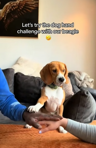 F1804004 Buy more… or save more? (part 2)