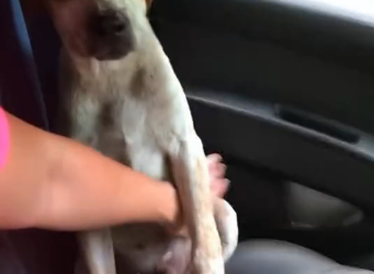 F1804005 Your wallet… or their world? (part 2)